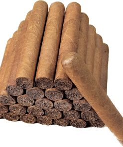CAÑONAZO EXTRA (58 x 160mm)