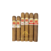 SAMPLER IV