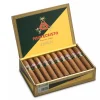 MONTECRISTO OPEN MASTER